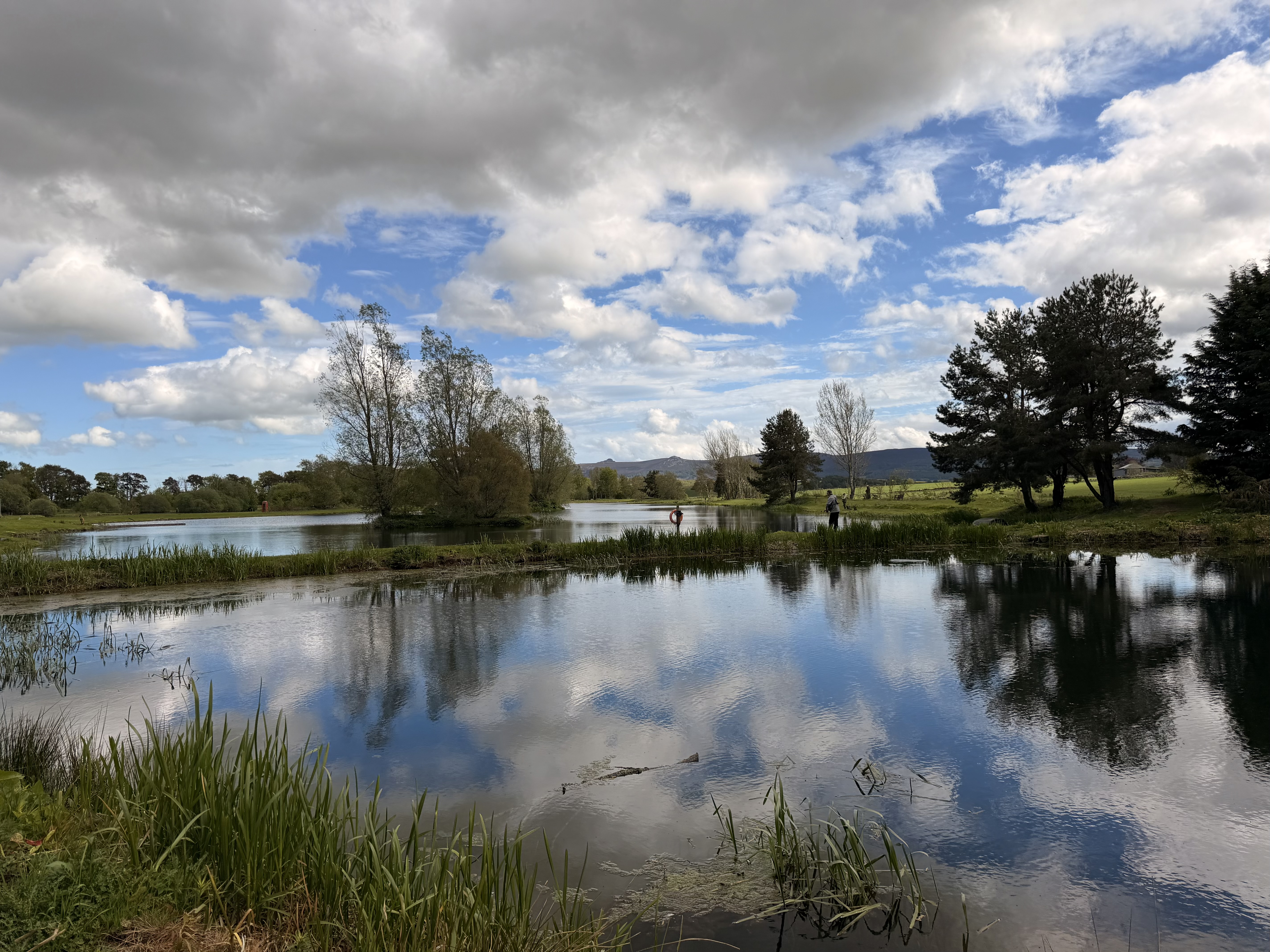 Spring view looking over the Bait Pond and Loch Insch