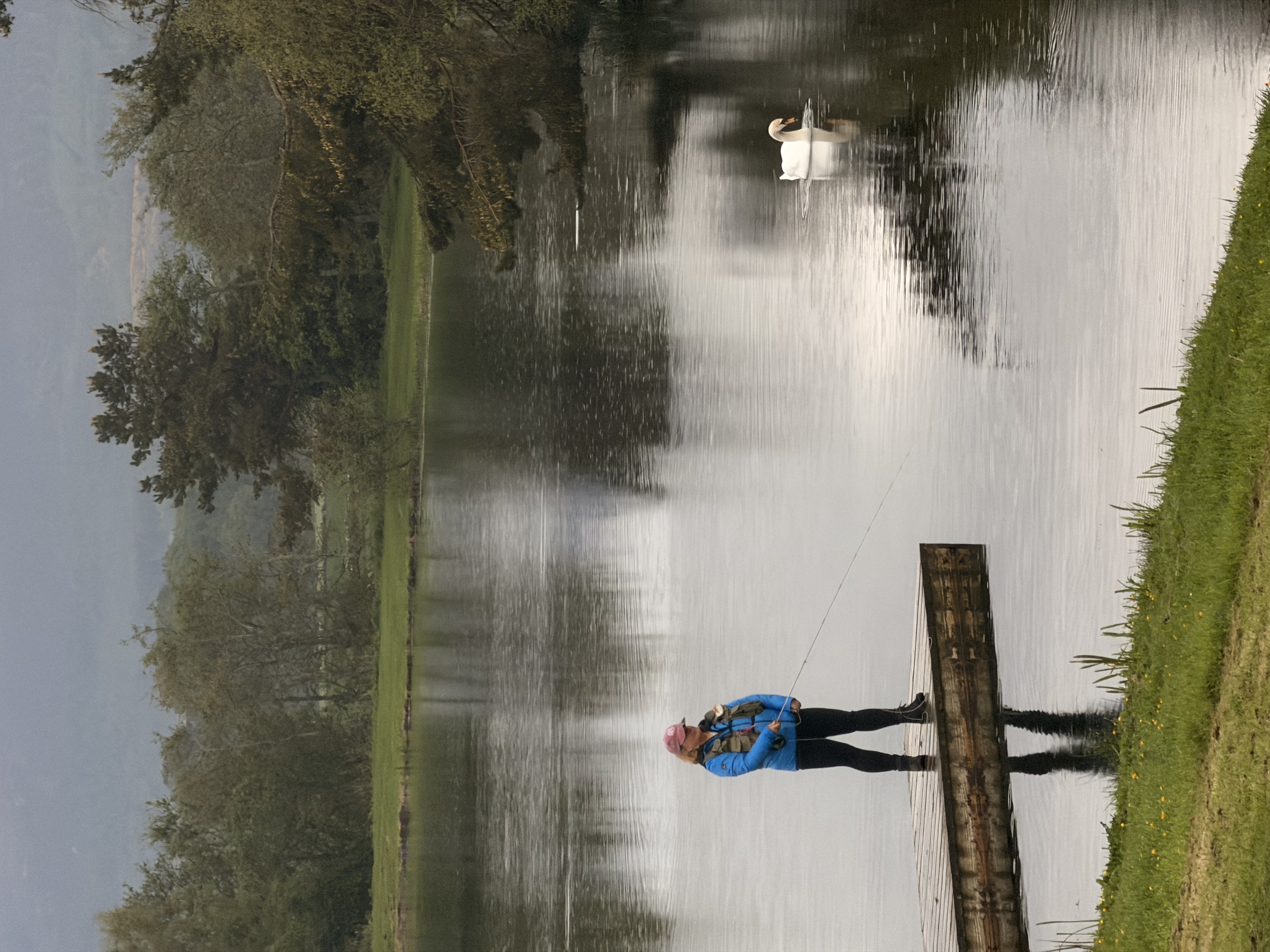 Female angler in blue jacket fishing from the jetty with a swan gliding past on the loch